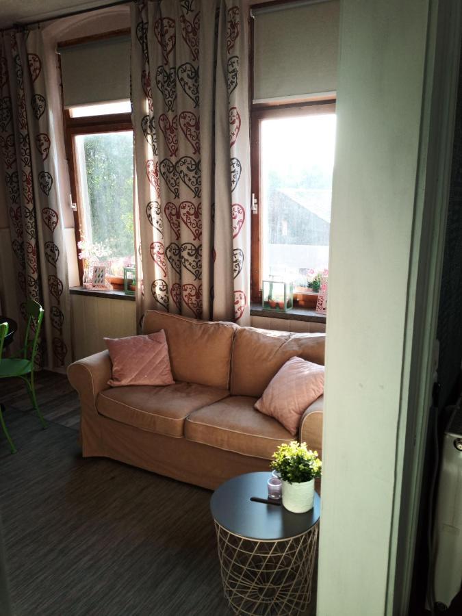 Zur Friedrichsruh Bed & Breakfast Oelsnitz  Dış mekan fotoğraf