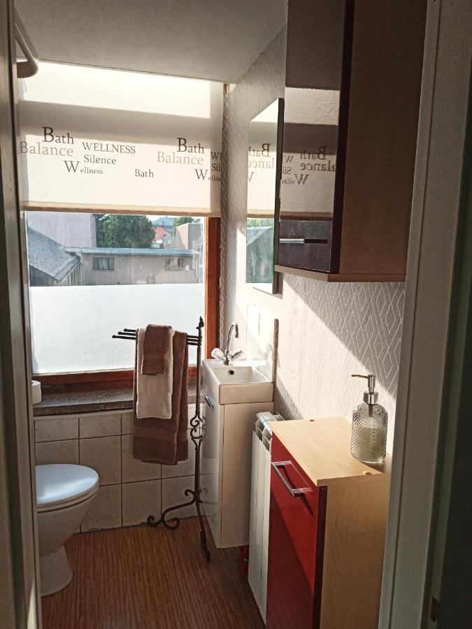 Zur Friedrichsruh Bed & Breakfast Oelsnitz  Dış mekan fotoğraf