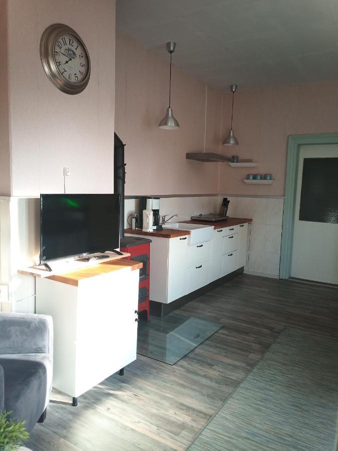 Zur Friedrichsruh Bed & Breakfast Oelsnitz  Dış mekan fotoğraf